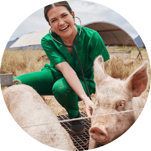 Dr. Amanda Wright, DVM