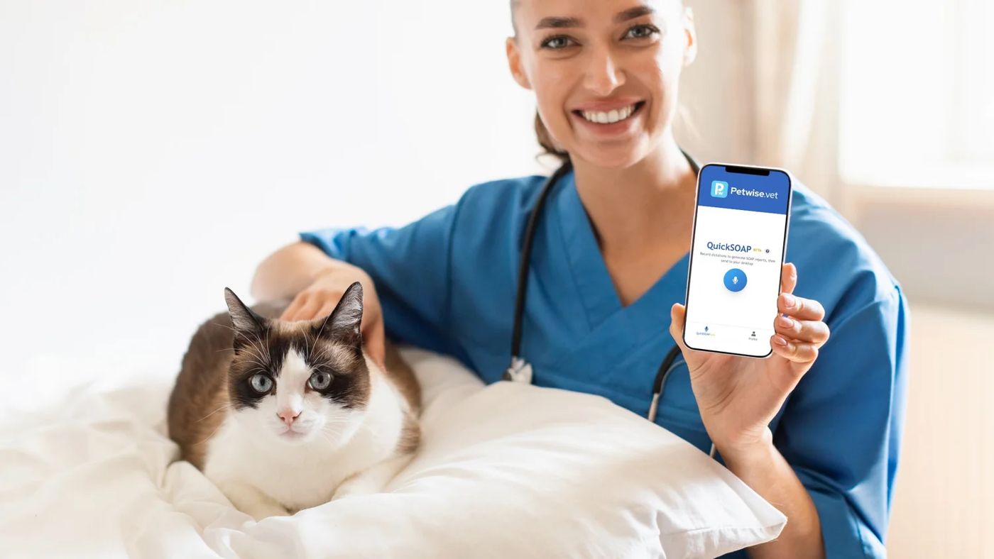 A veterinarian dictating on her phone beside a cat