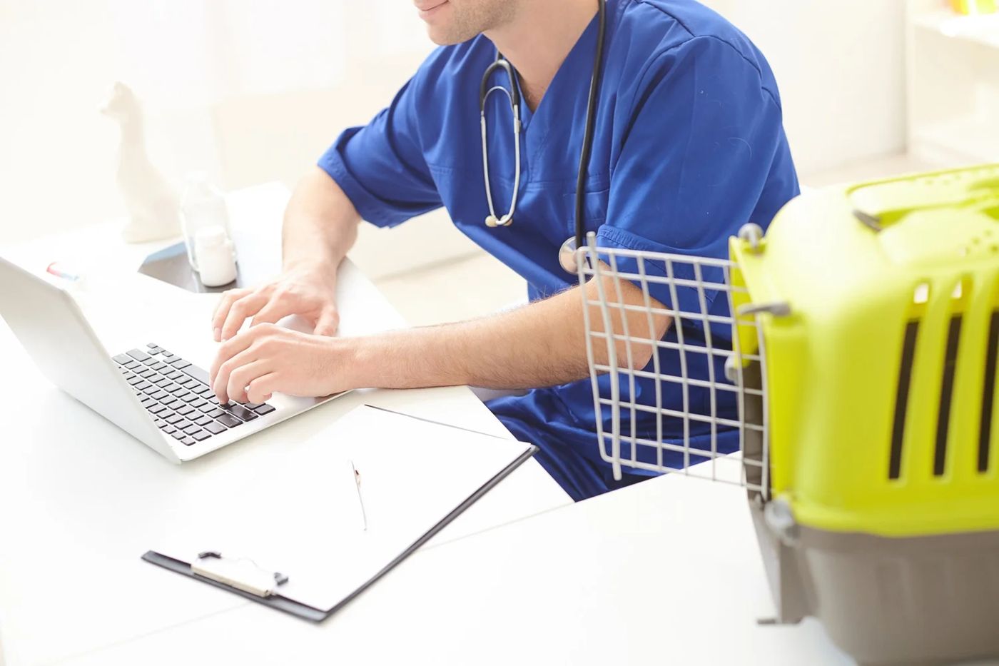A veterinarian finishing records at the computer next to a pet carrier